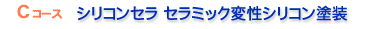 価格表・Cコース